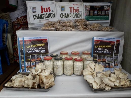 Foire champignons