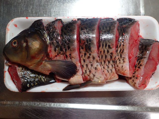 生簀鯉、川魚、鮮魚、海水魚などにイケス