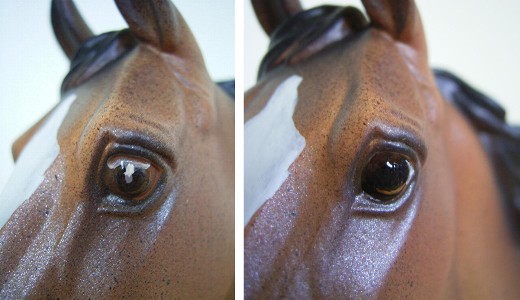 Weisser Fleck Im Auge Forum Pferd De