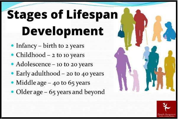 Health and lifespan development assignment help by experts