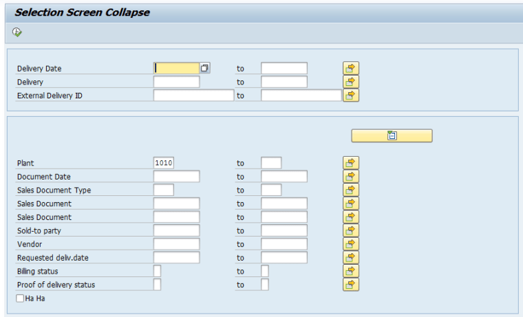 Collapsible controls Selection Screen SAP ABAP Report