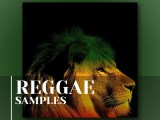 Reggae Samples Sample Pack Sounds