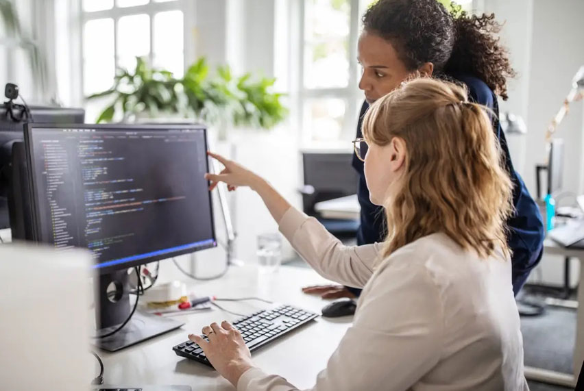 Software Developer