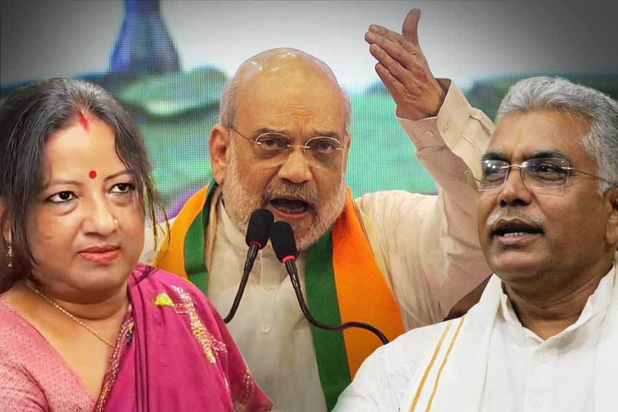 শাহের সভায় ‘ব্রাত্য’ দিলীপ, জামাইষষ্ঠীর ফাঁকে তাৎপর্যপূর্ণ মন্তব্য স্ত্রী রিঙ্কুর