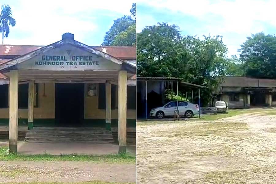 বোনাস বিবাদে বন্ধ ডুয়ার্সের চা বাগান, পুজোর মুখে কর্মহীন ৯০০ শ্রমিক