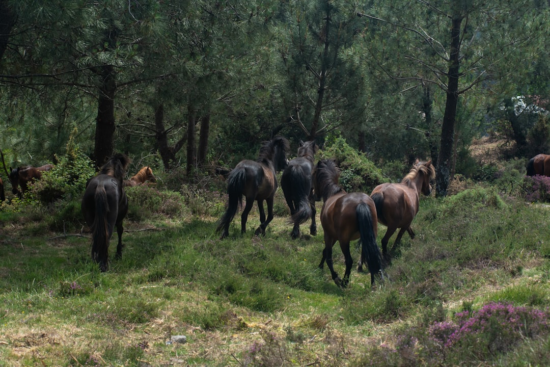 turkiyede-yeni-hobi-trendi-doga-yuruyuslerini-fotograf-safarilerine-donusturme-rehberi