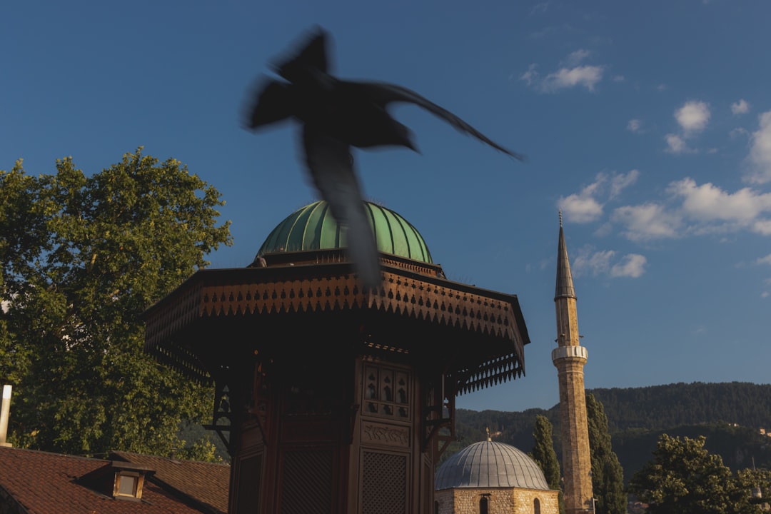 Türkiye'nin Unutulmuş Efsaneleri: Masallar, Mitler ve Gizemli Hikayeler