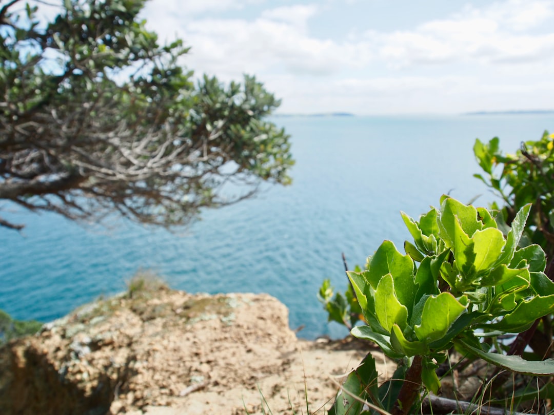 ege-bolgesinde-surdurulebilir-yasam-permakultur-ile-gelecege-yesil-adimlar