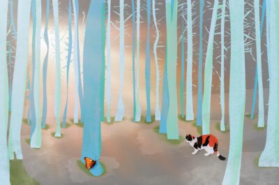 Ilustracja magiczny las spotkanie kot i motyl w magicznym lesie błękitne drzewa