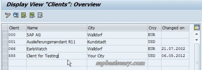 New SAP Client created