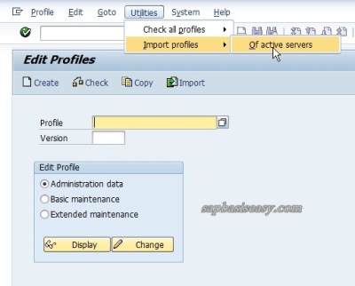 Import SAP Profile