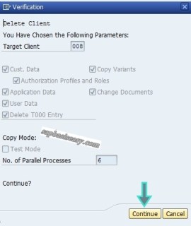 Summary screen in SAP Client Deletion