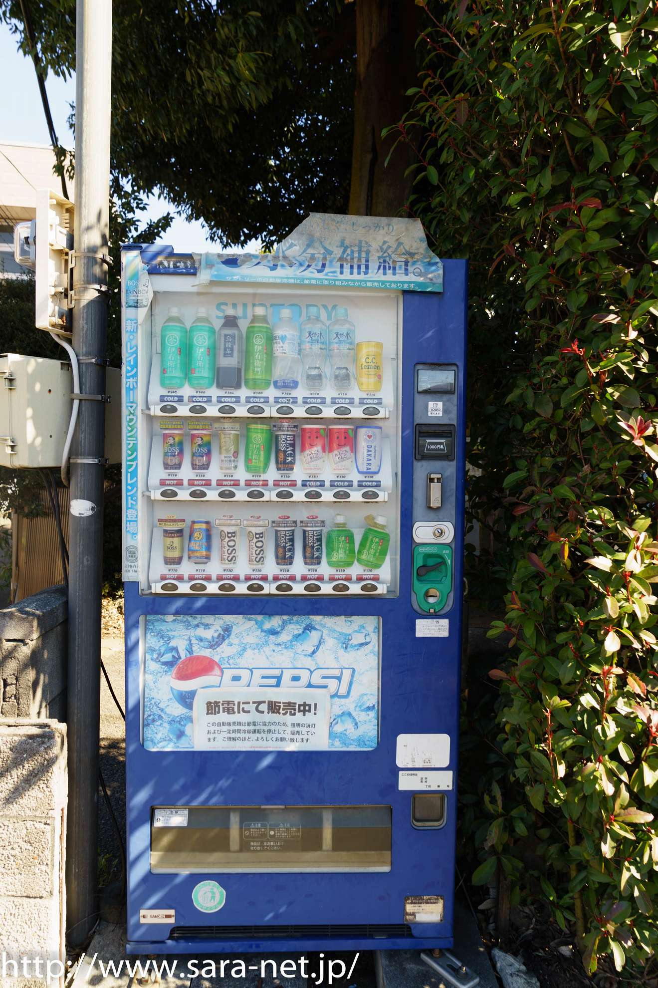 PEPSI 自動販売機 青 Pepsi Cola Digital Vending Machine with 40L Capacity & Color