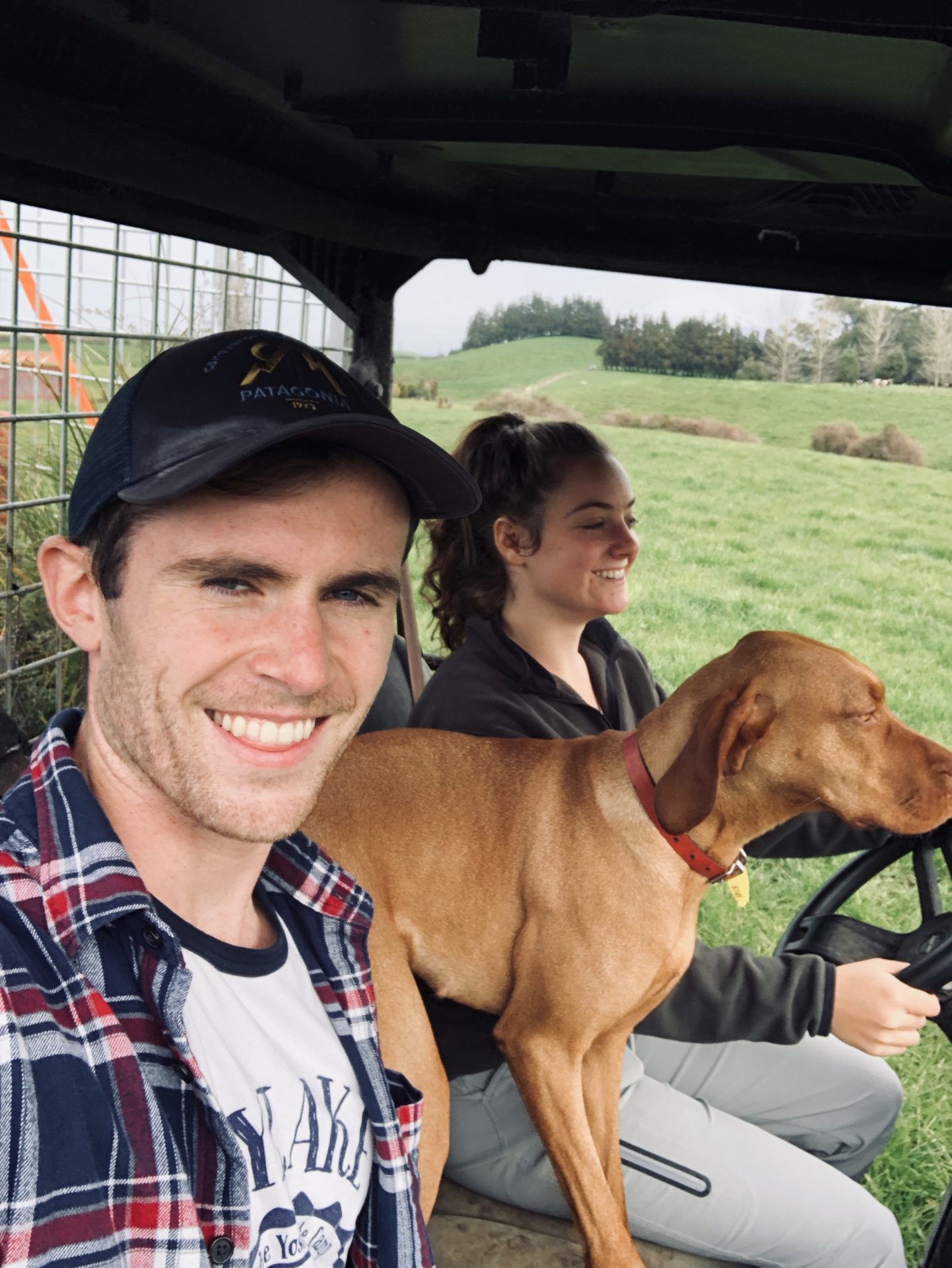 What it’s Actually Like to Live in New Zealand as a Foreigner During