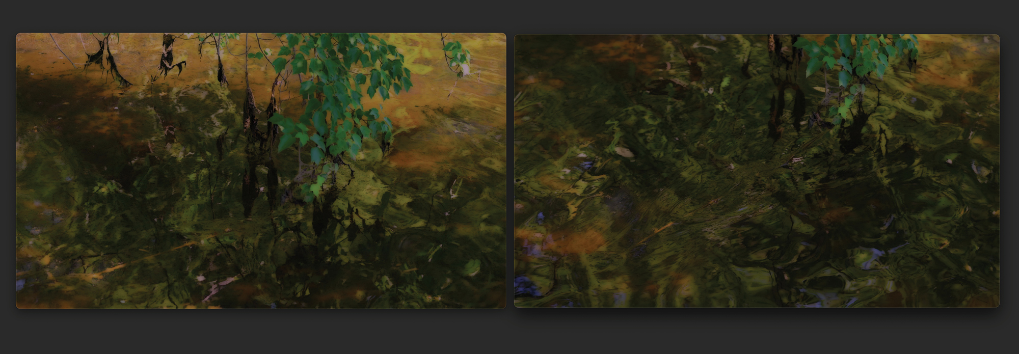Stills from peter campus, strafe das meer: carmans river 2 and 3, 2022. Videograph.12:13 minutes, 11:57 minutes. Courtesy of the artist and Cristin Tierney Gallery, New York.