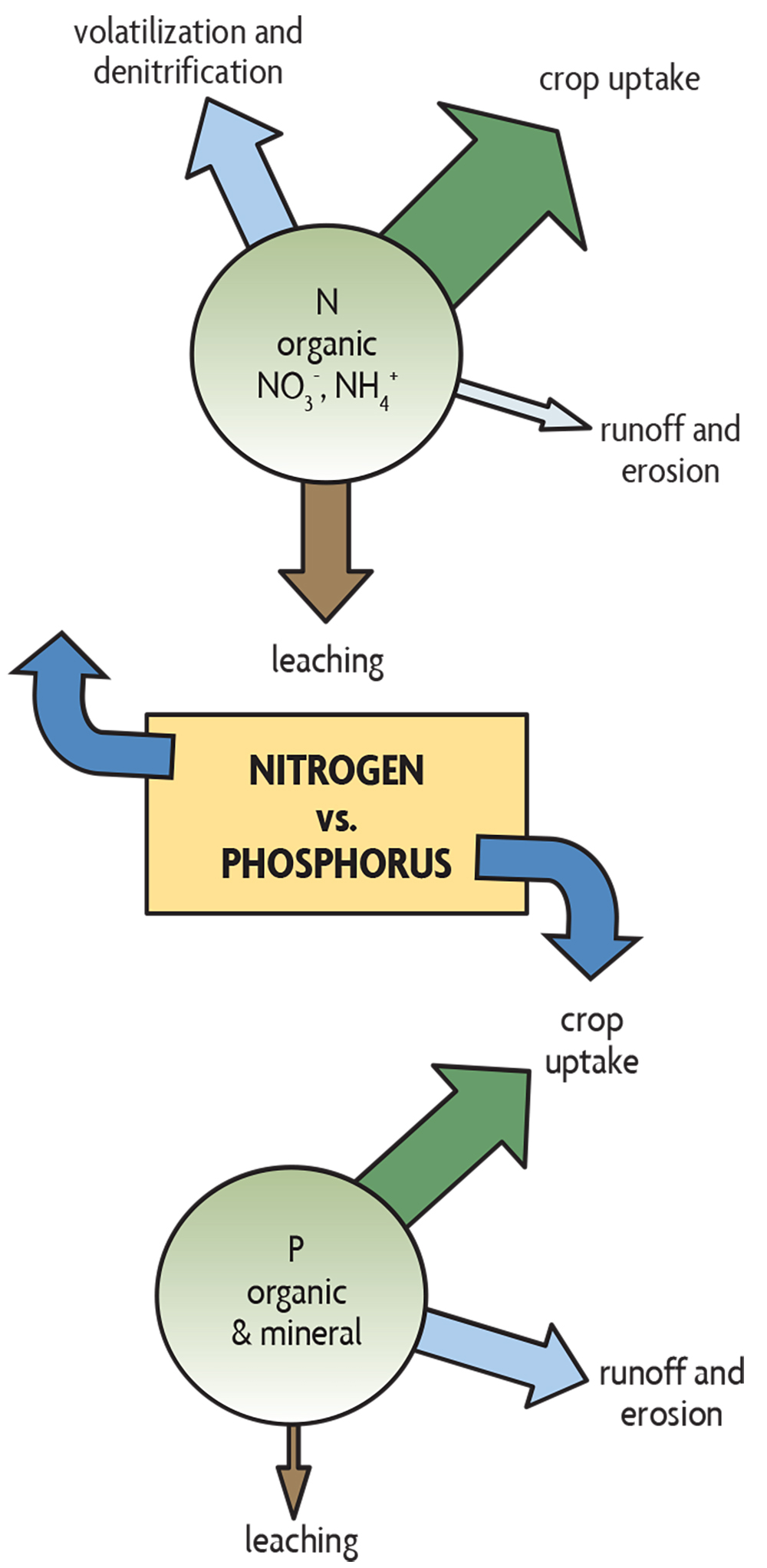 S Biointeractive Sites Default Files Media File 2020 04 Nutrientcycling Educator Act 0 Pdf  S Biointeractive Sites Default Files Media File 2020 04 Nutrientcycling Educator Act 0 Pdf