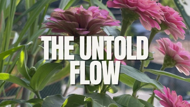 Why I Embrace Non-Linear Storytelling in My Blogs (and Vlogs)