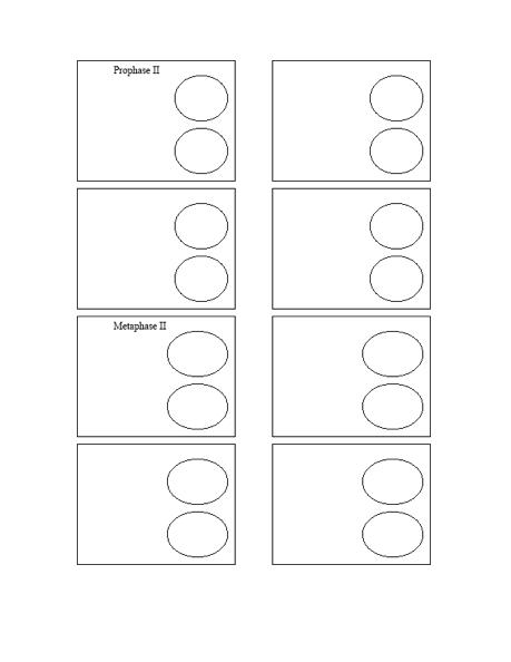 Simulating Meiosis Lab Answer Key Fill Online Printable Fillable Blank Pdffiller Simulating meiosis and fertilization lab answers Bing.