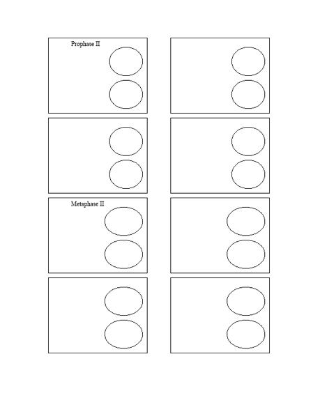 Maternity Case 4 Carla Hernandez Guided Reflection Questions Answers Latest Plete Guide Reflection Questions Reflection Try To Remember Tap card to see definition.