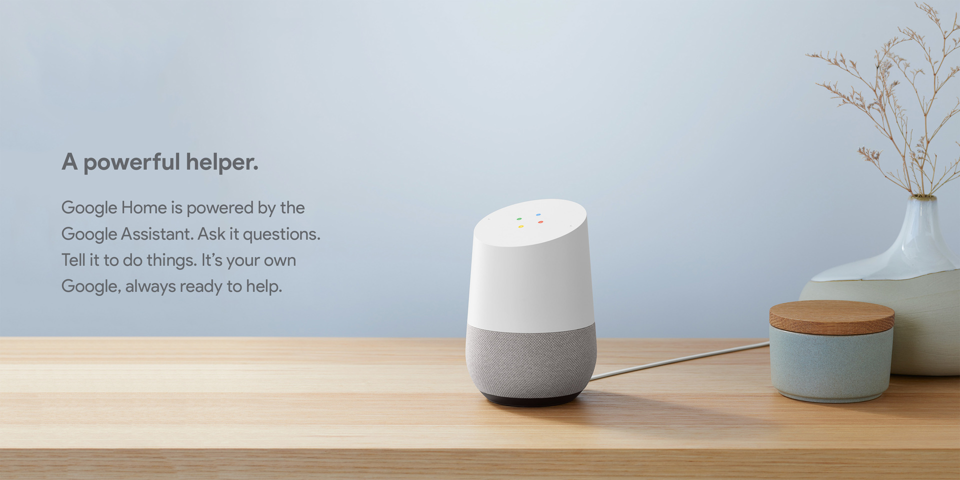 Google home