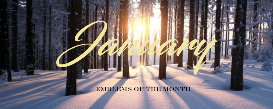 Emblems of the Month – January | SAYCONNECT