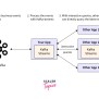 Streaming Data With Kafka - Scaler Topics