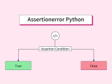 Assertionerror Python Scaler Topics