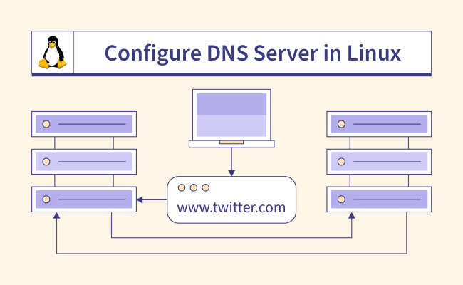 How To Configure DNS Server In Linux? - Scaler Topics
