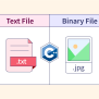 Difference Between C++ Text File And Binary File - Scaler Topics