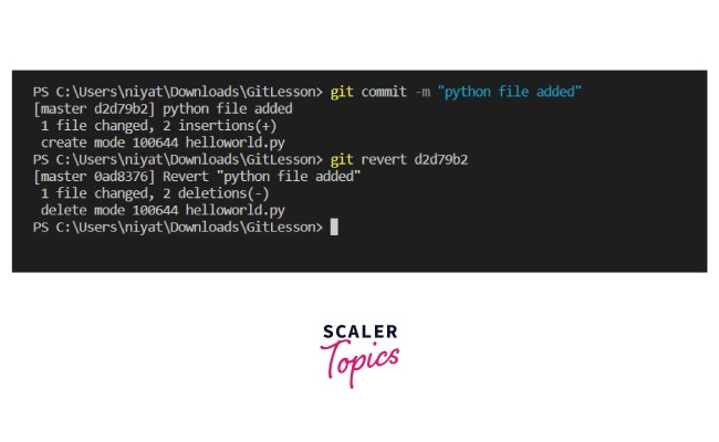 Git Basic Commands - Scaler Topics
