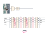 Image Captioning With Tensorflow Scaler Topics
