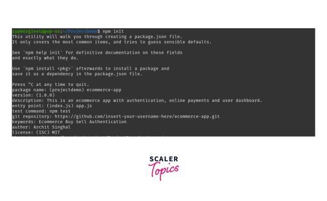 NPM Package.json - Scaler Topics