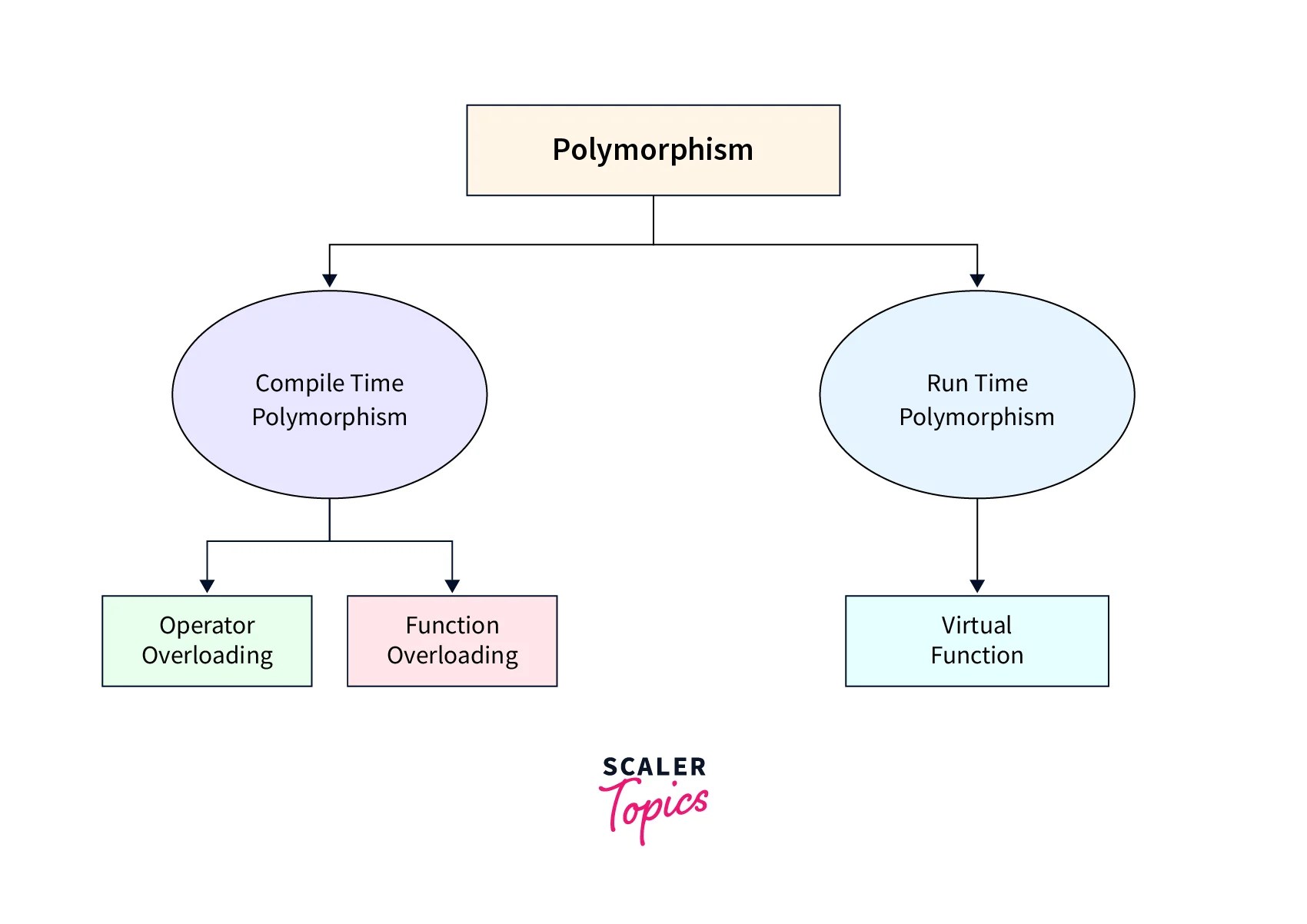 What is Polymorphism? - Scaler Topics