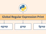 Python Grep Scaler Topics