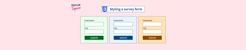 Styling A Survey Form Using Css Css Projects Scaler Topics - Gradient Image Collection - 4K Quality