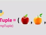 Tuples In Python Scaler Topics