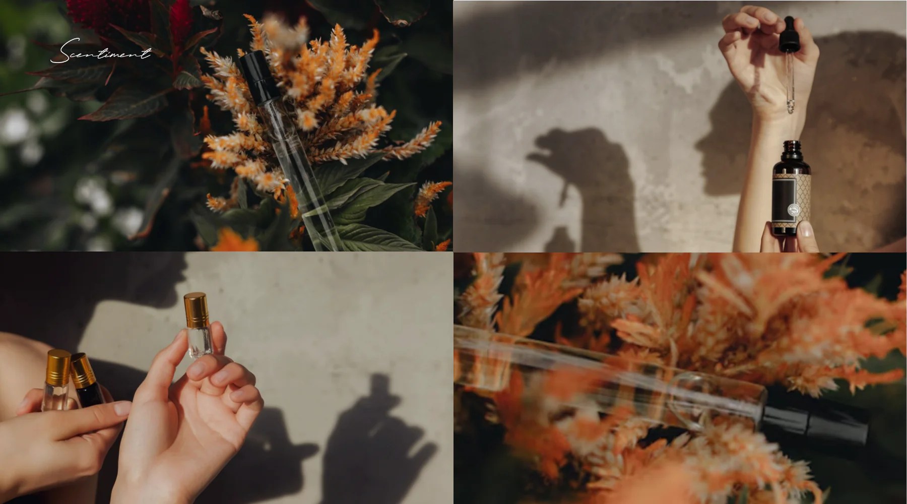 Understanding Top Middle And Base Notes In Fragrances Scentiment