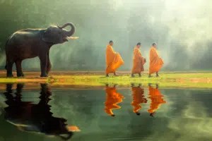 Buddhismus Lehre 16 Regeln 6 Gotter Bedeutung Schreiben Net