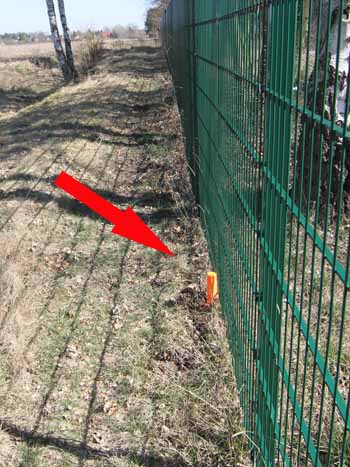 Afrikanische Schweinepest Zaun An Polens Grenze Wird Gebaut Zdfheute