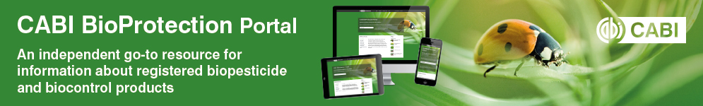 BPP in-article ad