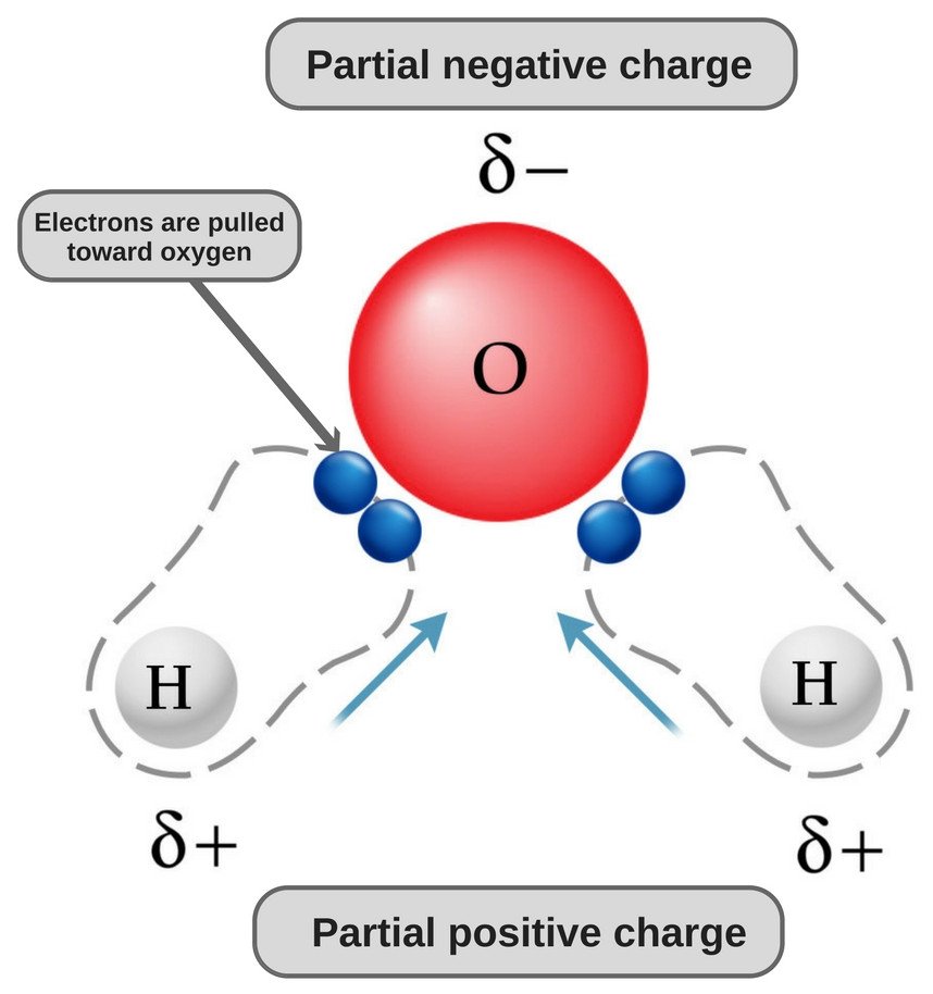 Wbz8a16opubesm The molecule has a symmetrical disfribution of charge.