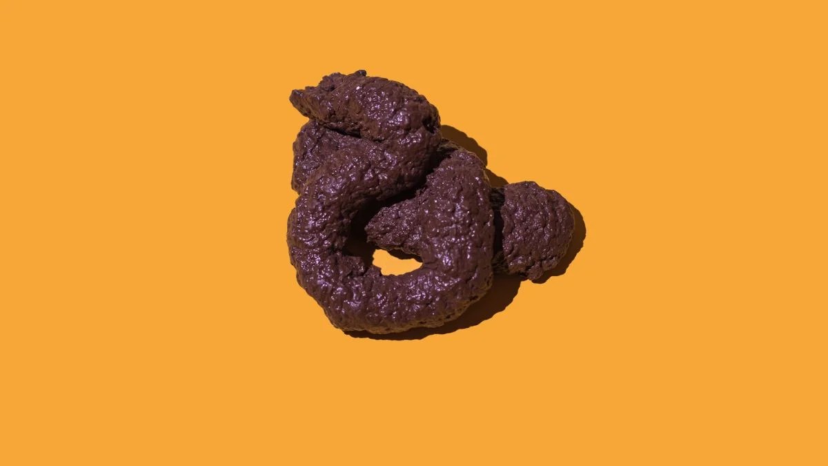 The Science of Poop: Unraveling the Universal Law of Poop Shapes (2026)