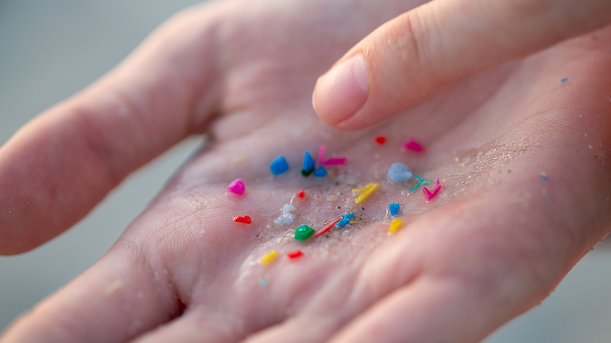 Microplastics Found in Human Arteries: Are You at Risk? (Shocking Study 2024) (2026)