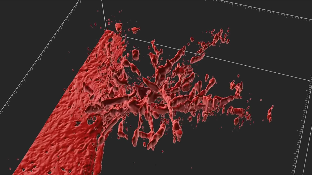 Scientists Discover a Precise Way to Grow Artificial Blood Vessels Using Magnets (2026)