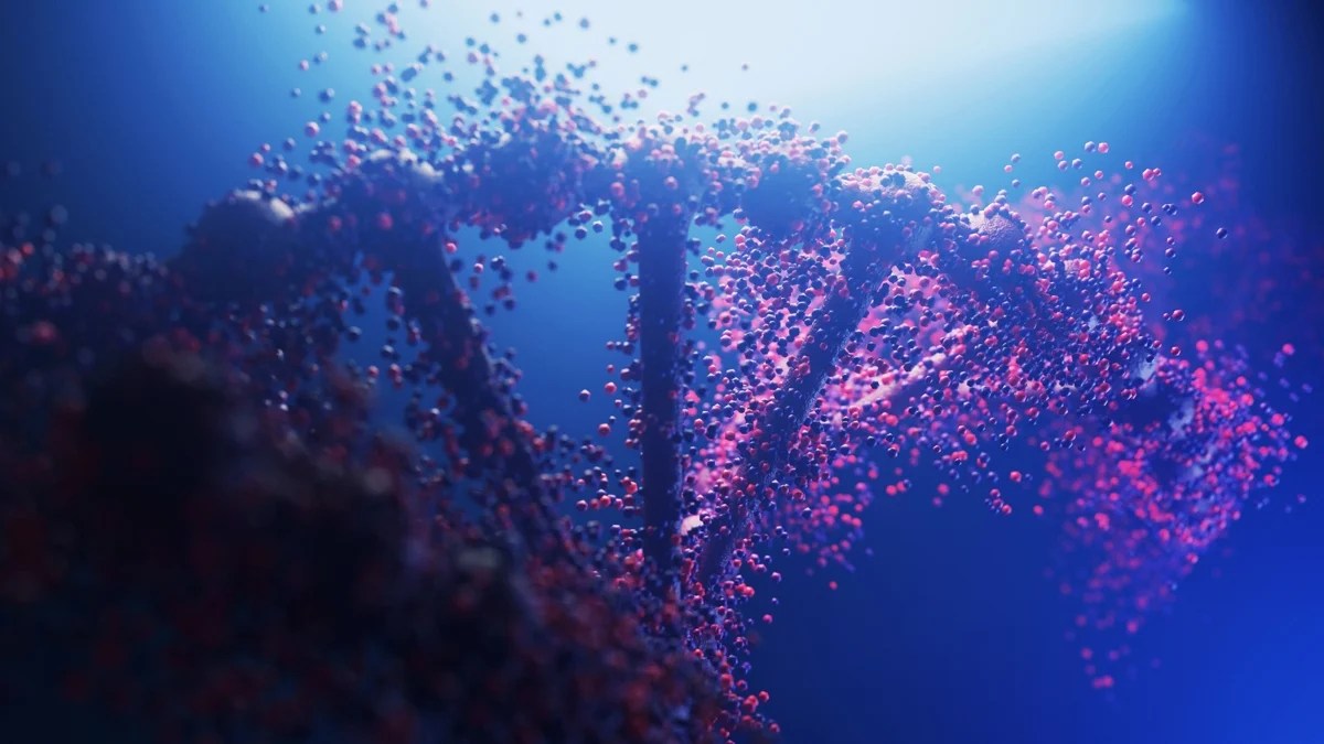 Unraveling the Mystery: Beyond the Double Helix - DNA's Hidden Structures (2026)