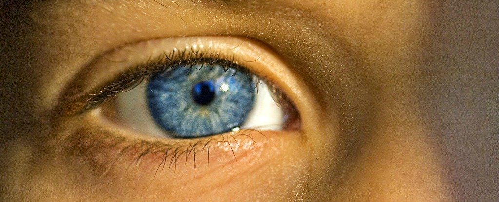 Some eyeshadow looks just look like they were made for blue eyes. This New Surgery Can Restore Some Legally Blind People to