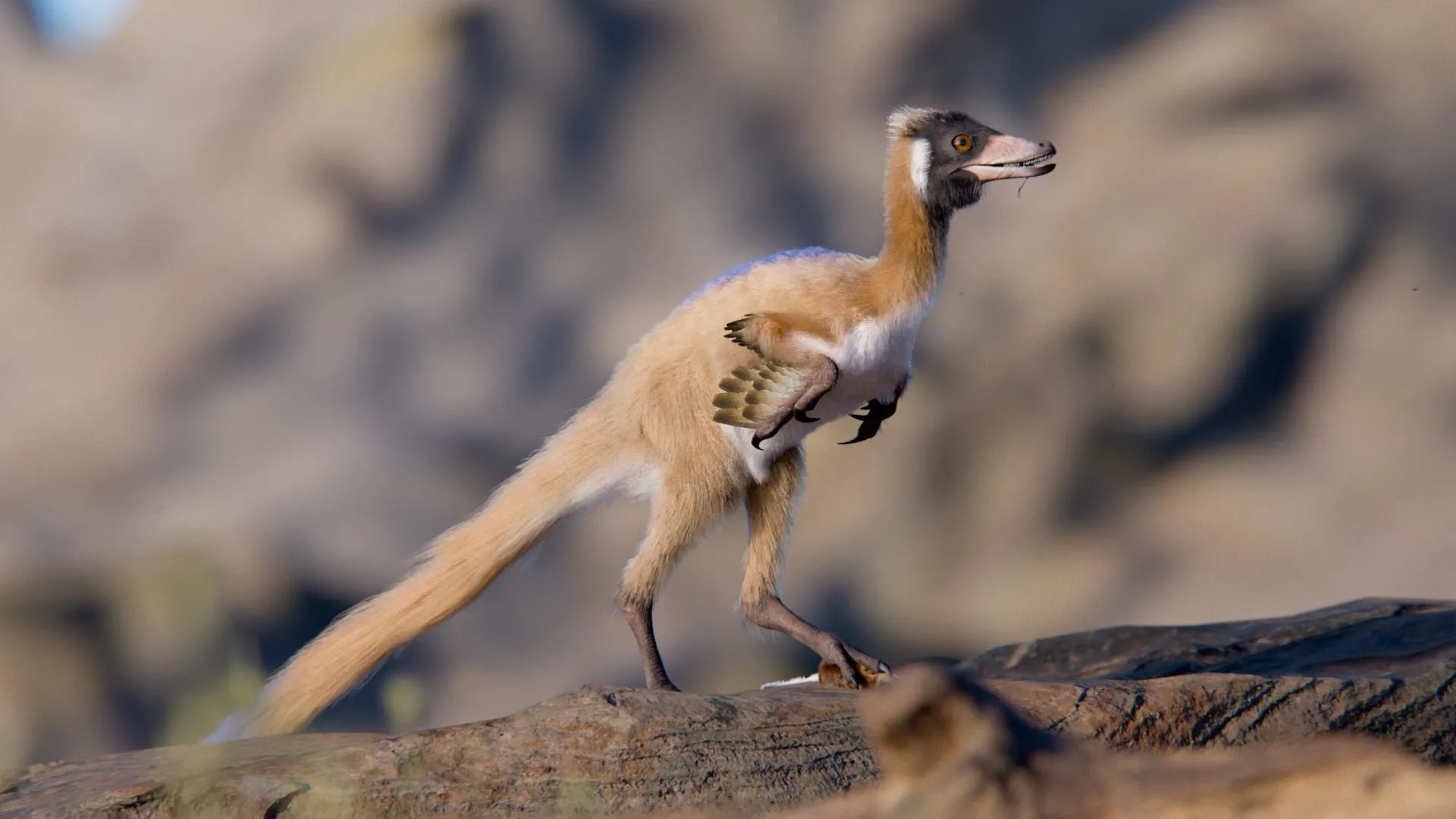 Tiny Dinosaur Discovery: 2-lb Fossil Rewrites Evolution! (2026)