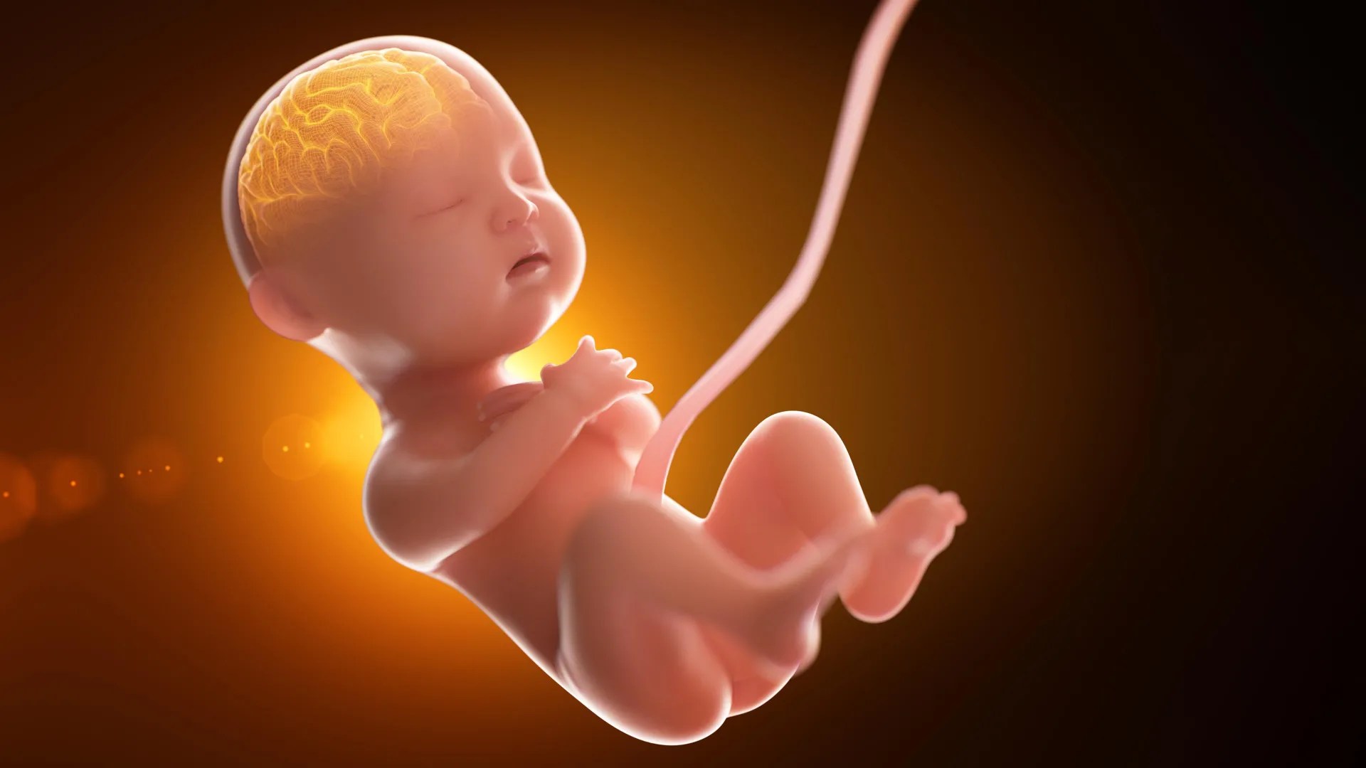Alarming Study: Babies Exposed to 42 Forever Chemicals In Utero | PFAS Risks Revealed (2026)