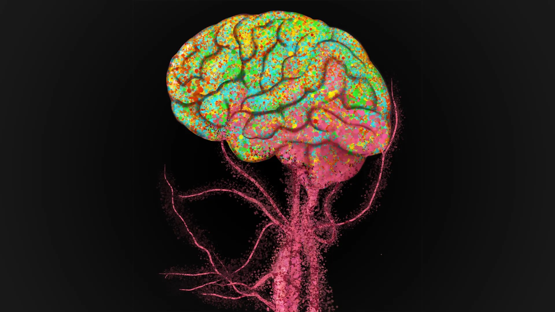 Immune Cells Invade the Aging Brain: A New Discovery (2026)
