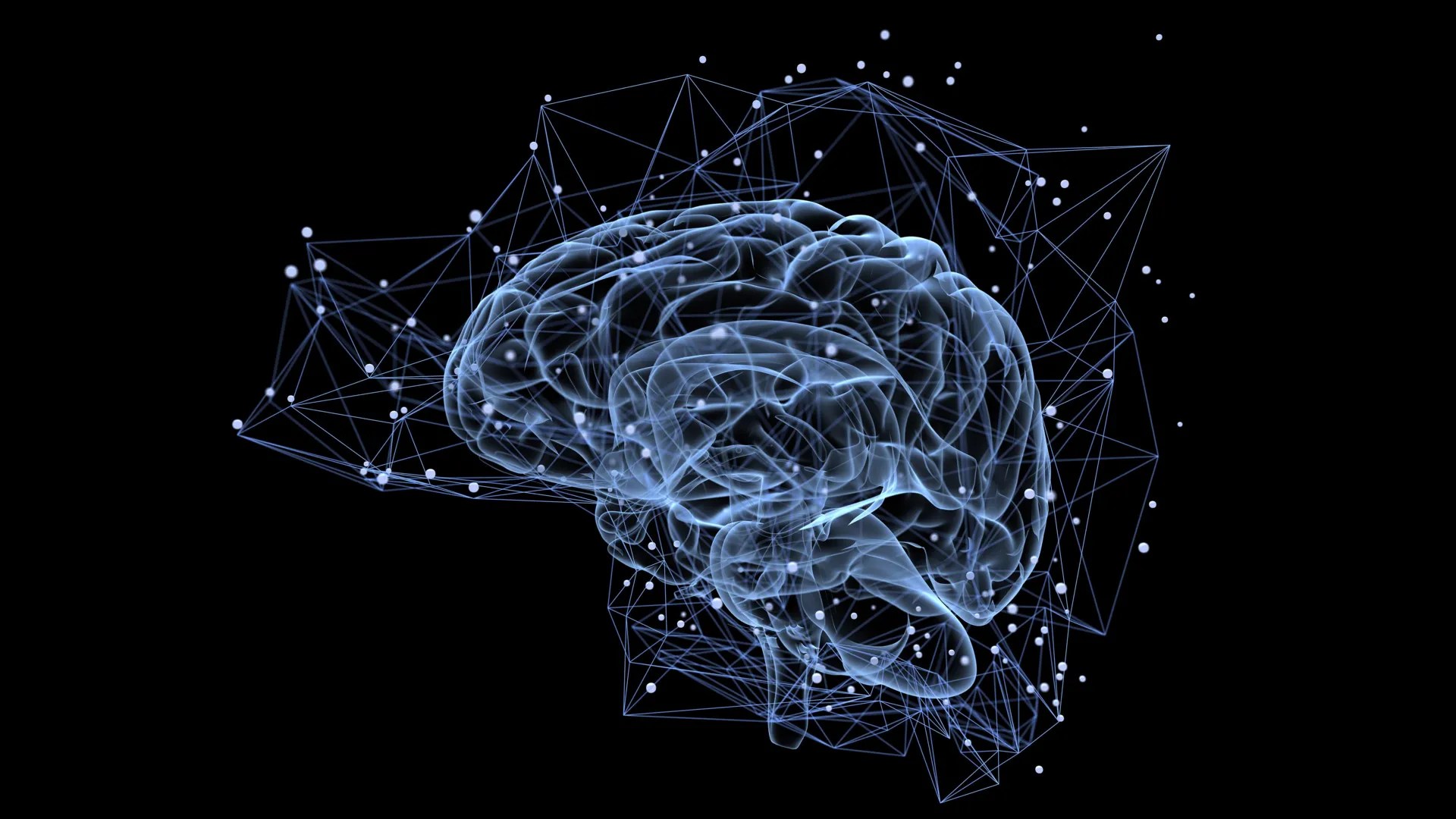 Brain Circuit Discovery: How Behavior Rewrites Vision (2025)